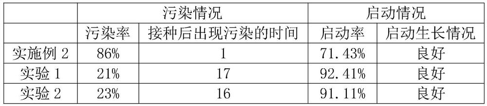 A sterilizing method for increasing the start-up rate of explant tissue culture of Leopard camphora