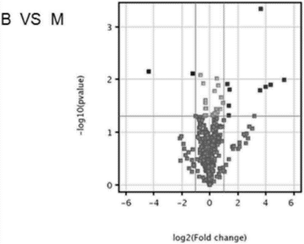 Application of miR-24-1-5p to colorectal tumor