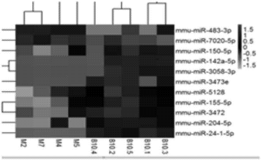 Application of miR-24-1-5p to colorectal tumor