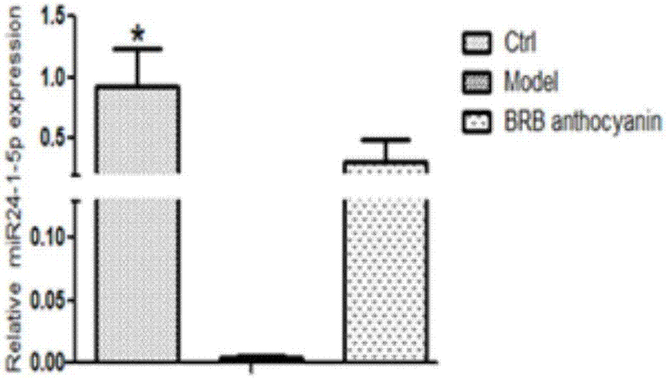 Application of miR-24-1-5p to colorectal tumor