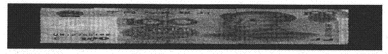 Method for detecting old and new as well as deformity of paper currency by sorting machine based on paper currency degeneration energy function