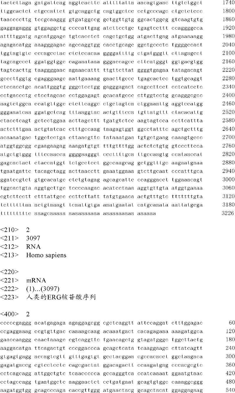 Detection method and correlated detection probe and kit for prostatic cancer related fusion gene Fish