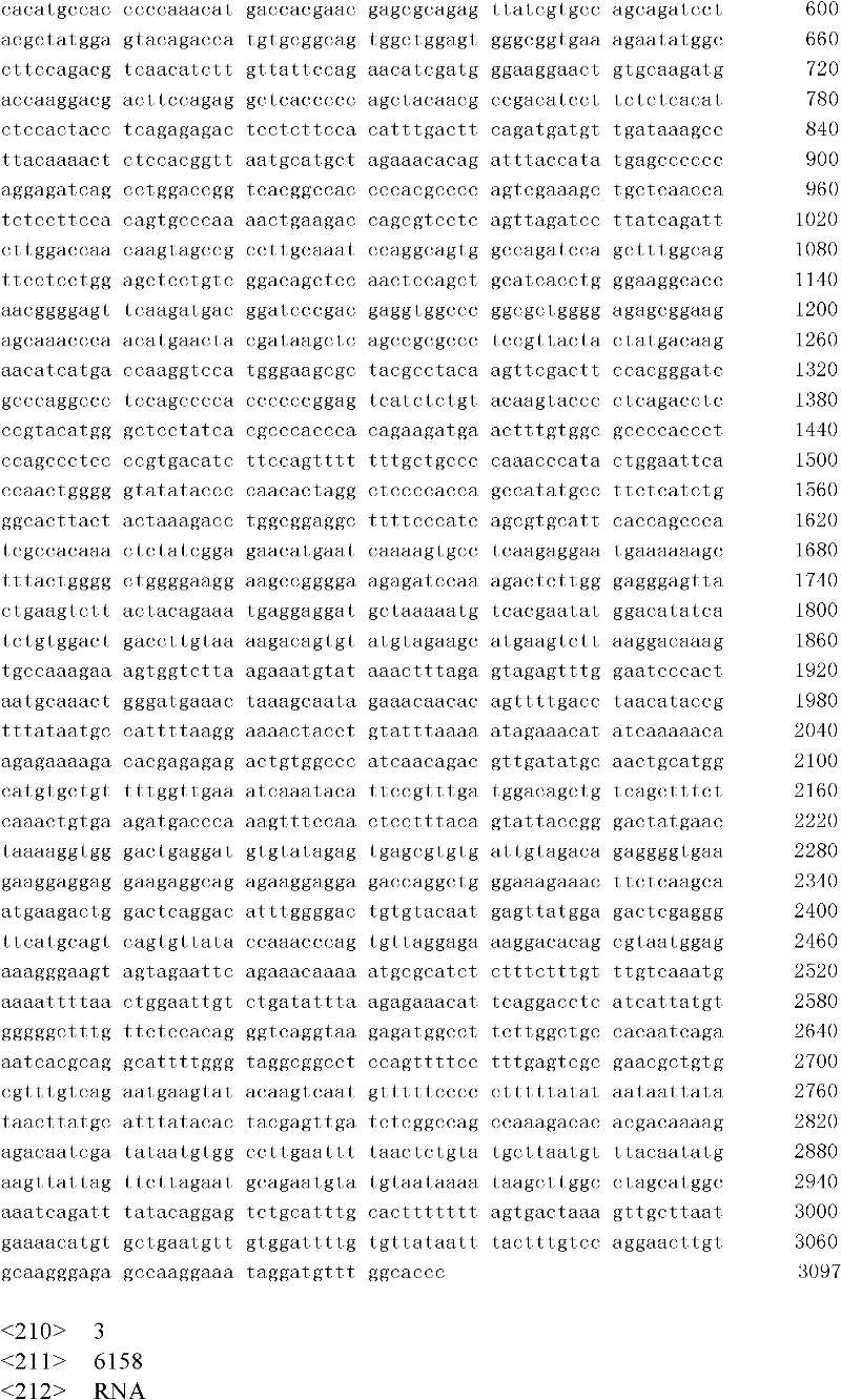 Detection method and correlated detection probe and kit for prostatic cancer related fusion gene Fish