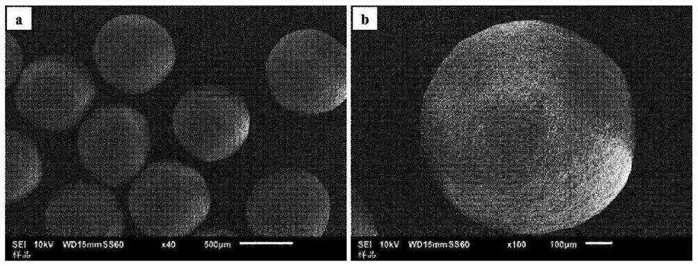 Floating crystalline tastant particles