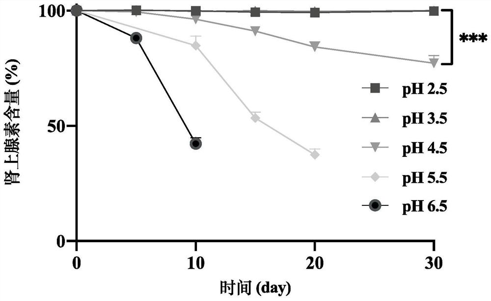 Adrenaline sublingual spray for allergic shock as well as preparation method and application of adrenaline sublingual spray