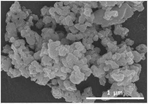 Nonmetal-ion-doped perovskite type mixed conductor hydrogen permeation membrane, and preparation method and application of same