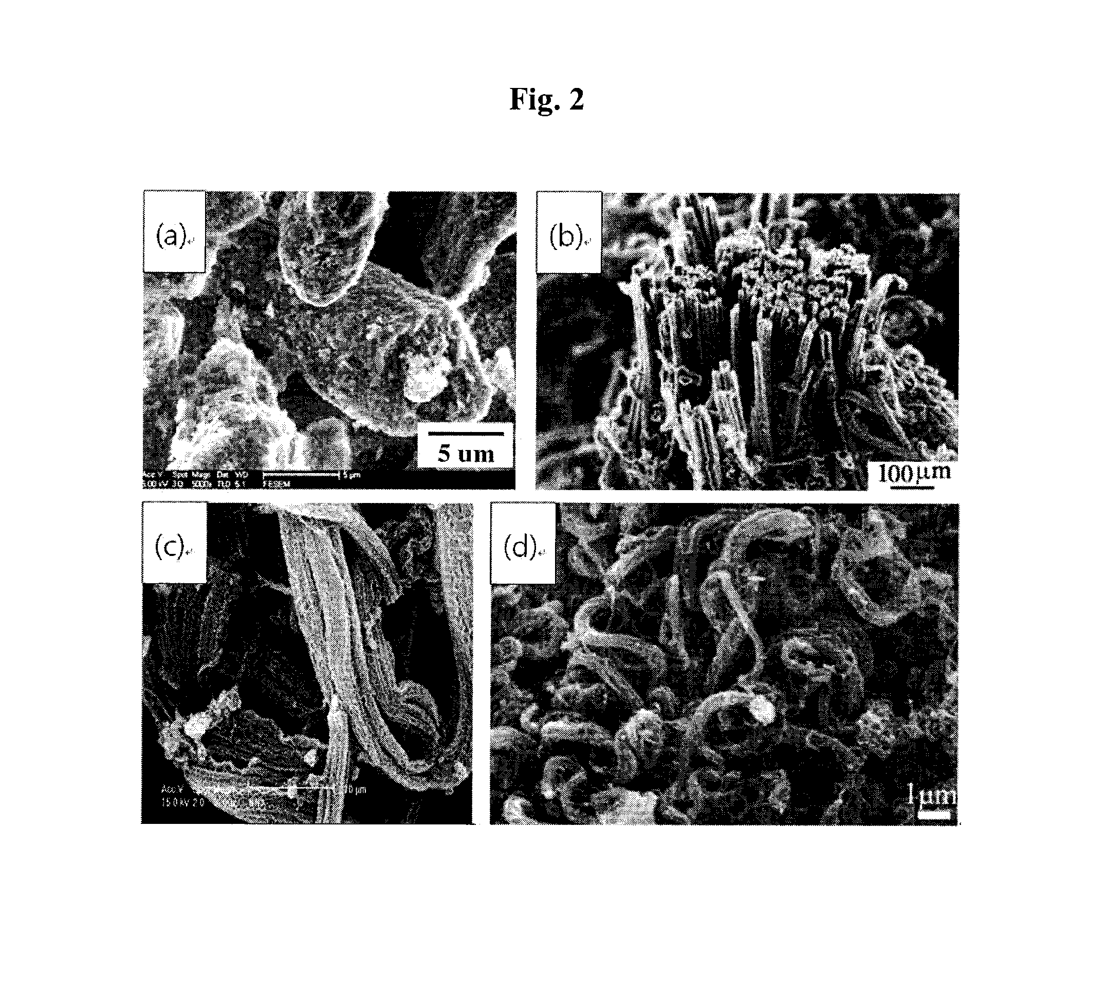 Novel secondary structure of carbon nanostructure, bundle thereof and composite comprising same