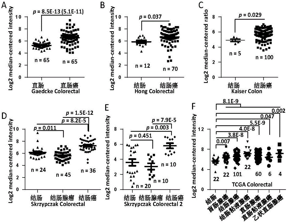 Human colorectal carcinoma molecular marker COL3A1 and application thereof