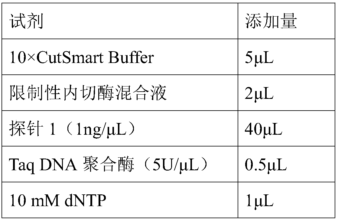 Method for preparing FISH probe of EGFR gene