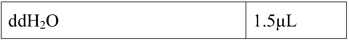 Method for preparing FISH probe of EGFR gene