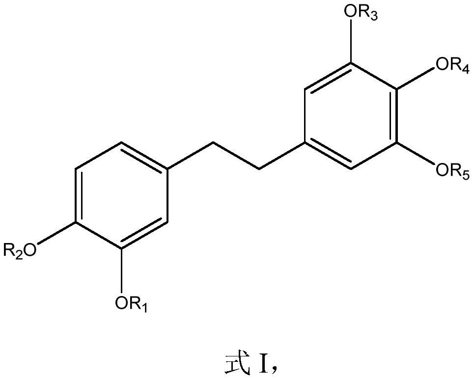 Active ingredient composition derived from dendrobium officinale and gynostemma pentaphylla and application of active ingredient composition