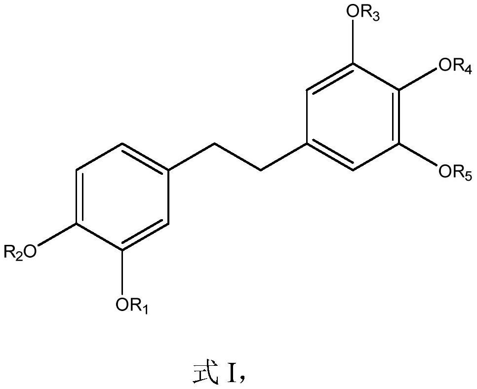 Active ingredient composition derived from dendrobium officinale and gynostemma pentaphylla and application of active ingredient composition