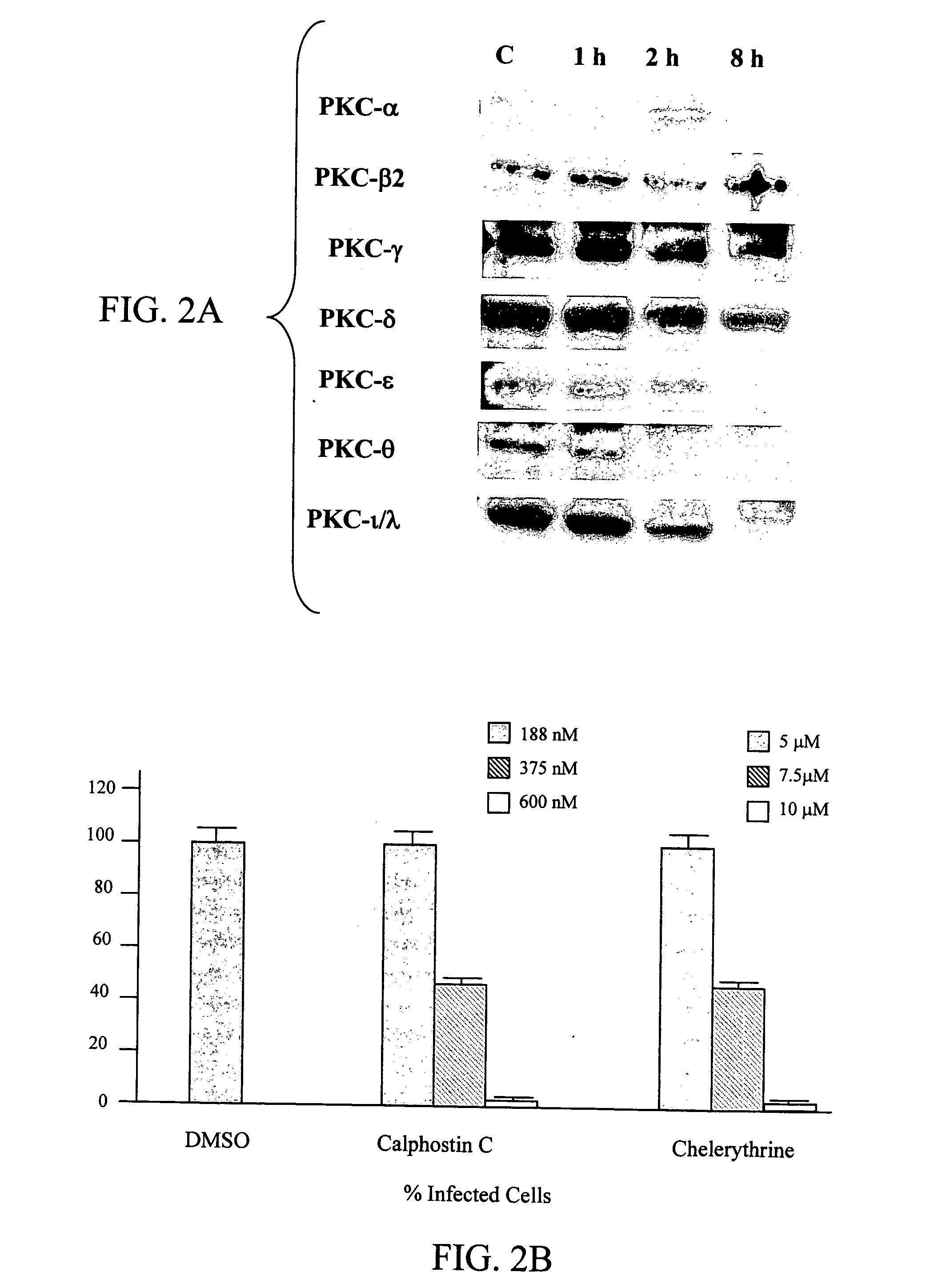 Protein kinase C as a target for the treatment of respiratory syncytial virus