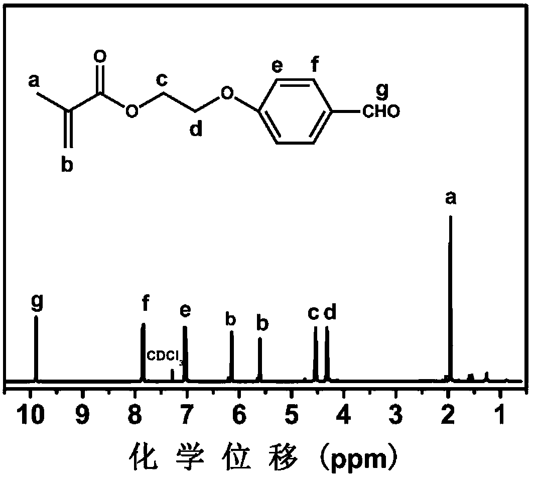 An amphiphilic four-armed star polymer and its shell-based reversible cross-linked micelle system, preparation method and application