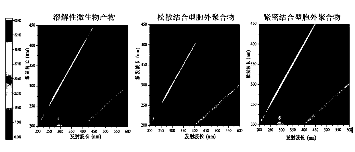 Method for monitoring growth process of organic pollutant on membrane surface of MBR in real time