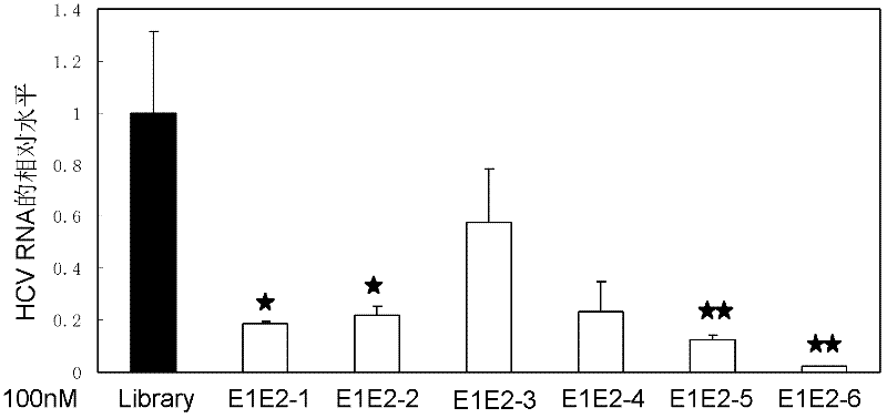 Nucleic acid aptamer capable of identifying HCV E1E2 (hepatitis C virus E1E2), nucleic acid aptamer derivatives and screening method and application thereof