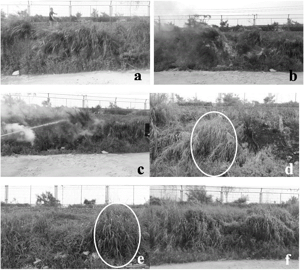 Water-based forest and building fire disaster fire extinguishing agent and preparing method thereof