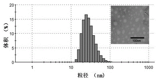 Monomethoxy polyethylene glycol-dithio-divitamin e succinate and its preparation and application