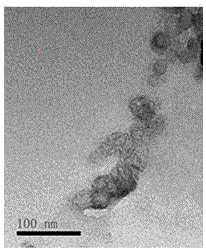 Reductive stimulation response drug carrier containing carbon nano cage and preparation method and application thereof