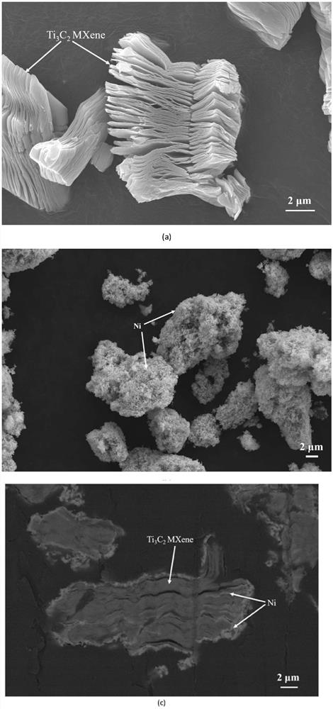 A magnetic core/shell structured ti  <sub>3</sub> c  <sub>2</sub> Alkene/ni powder and preparation method thereof