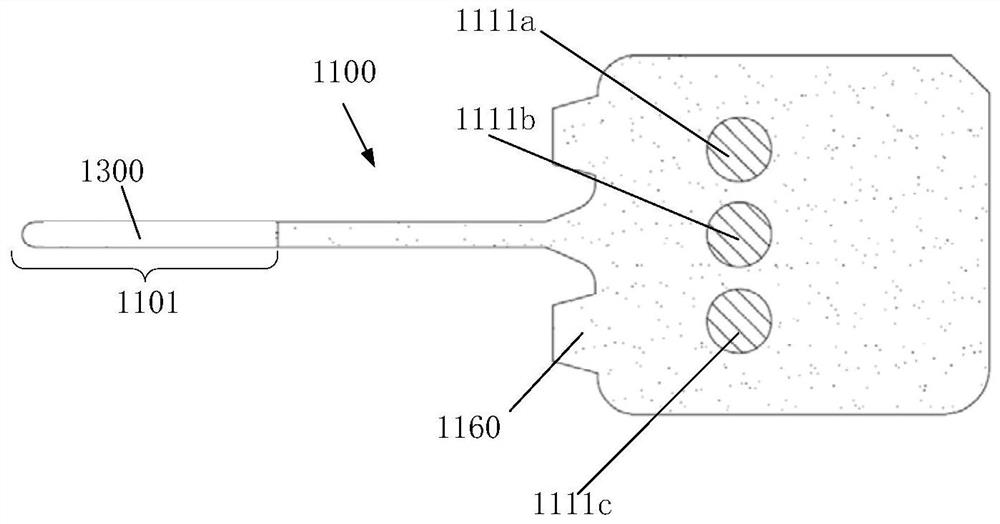 Biosensor and preparation method thereof