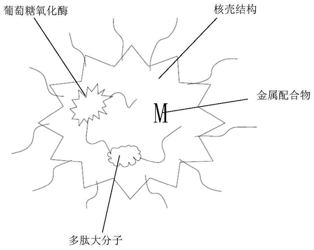 Biosensor and preparation method thereof