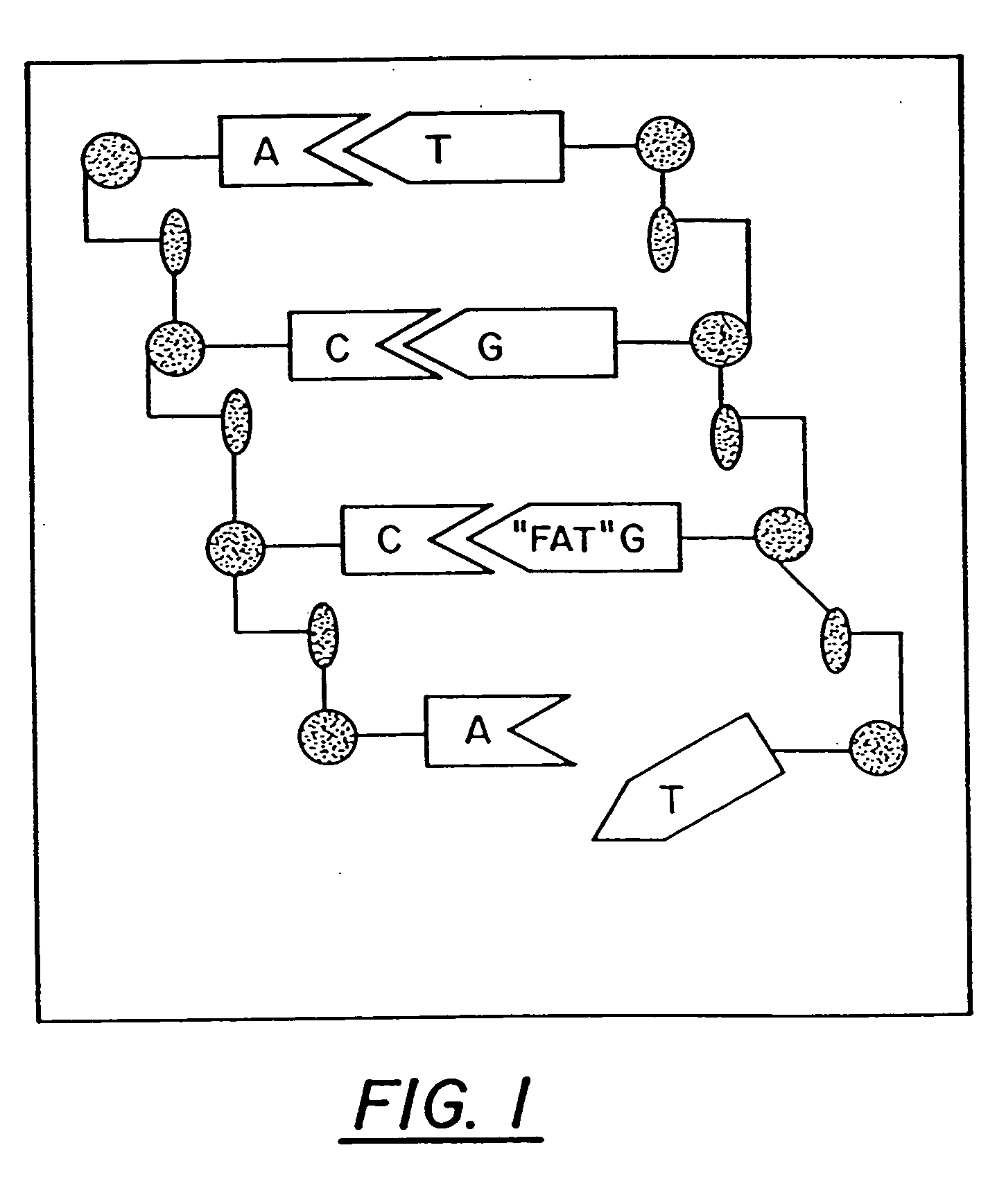 Ring-expanded nucleosides and nucleotides