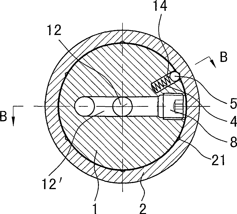 Multi-angle showerhead of washer