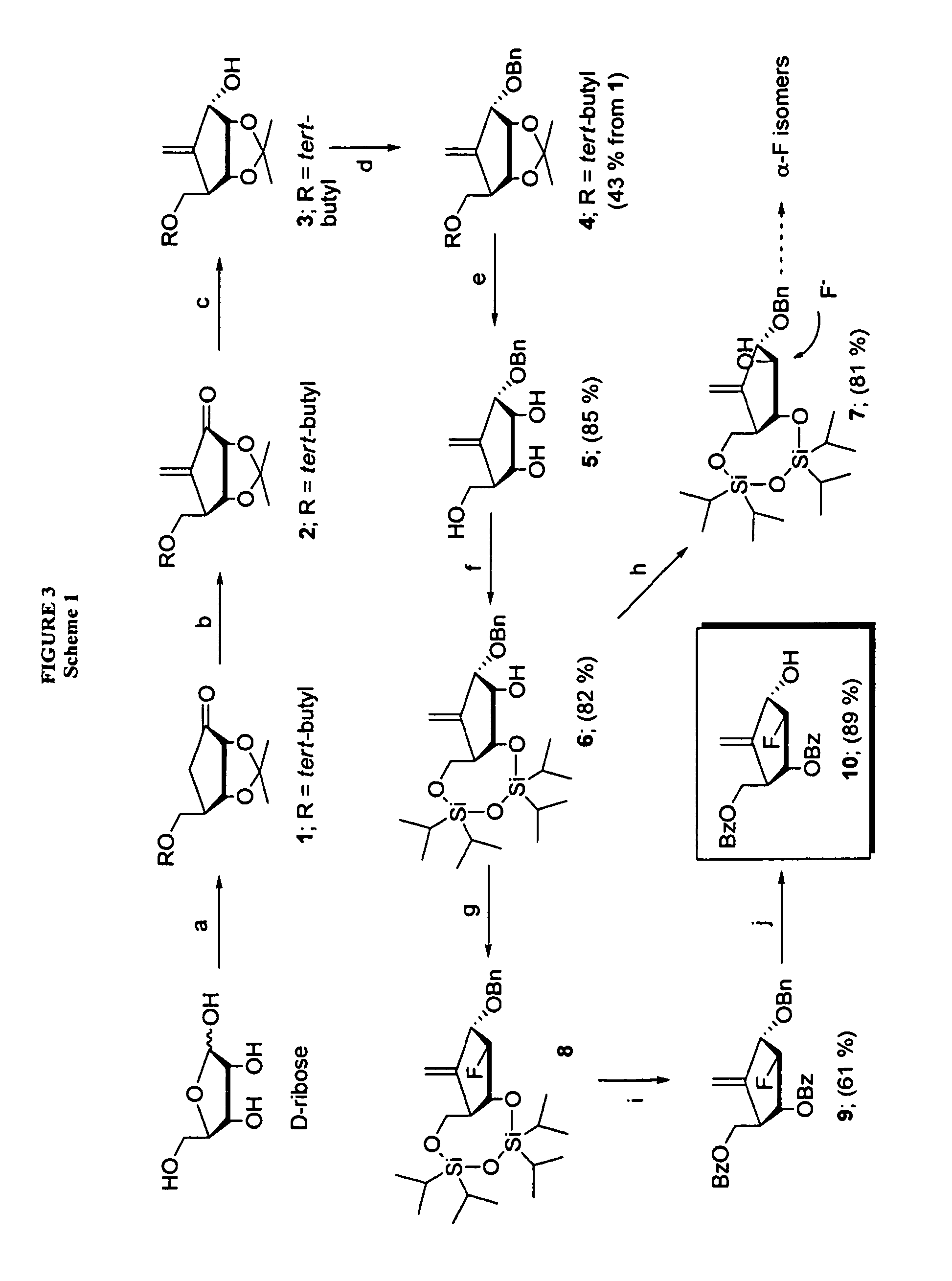 2′-fluoro-6′methylene carbocyclic nucleosides and methods of treating viral infections