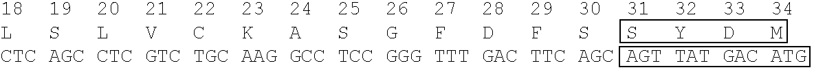 Immunoglobulin having particular framework scaffold and methods of making and using