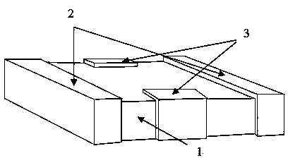 Surface mounting type overvoltage and overcurrent protection device and manufacturing method thereof