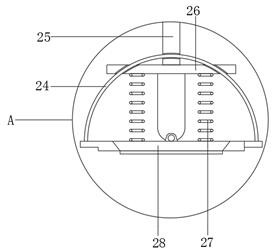 Peeling device for agricultural product processing