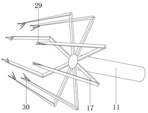 Peeling device for agricultural product processing