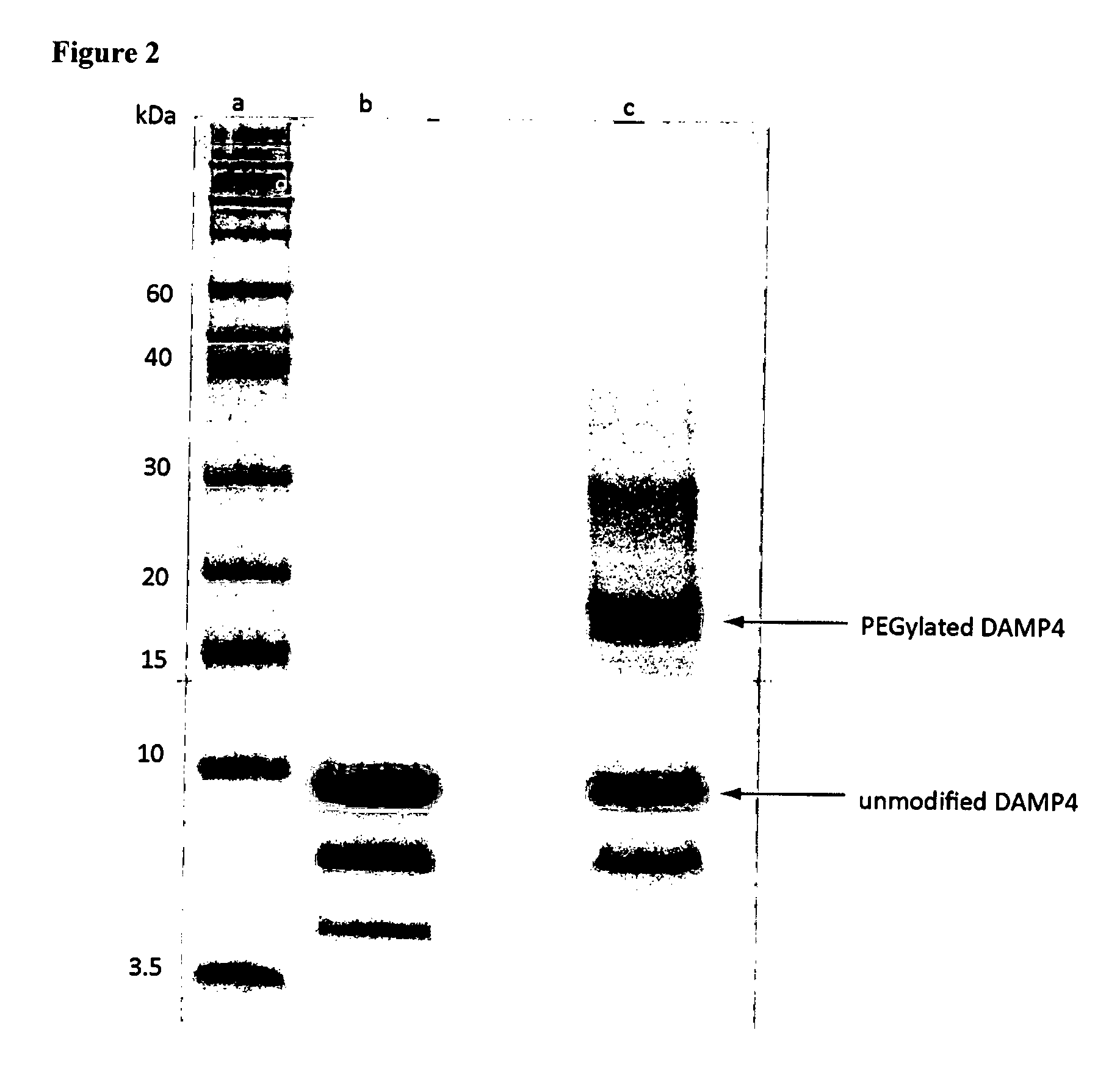 Nanoemulsions