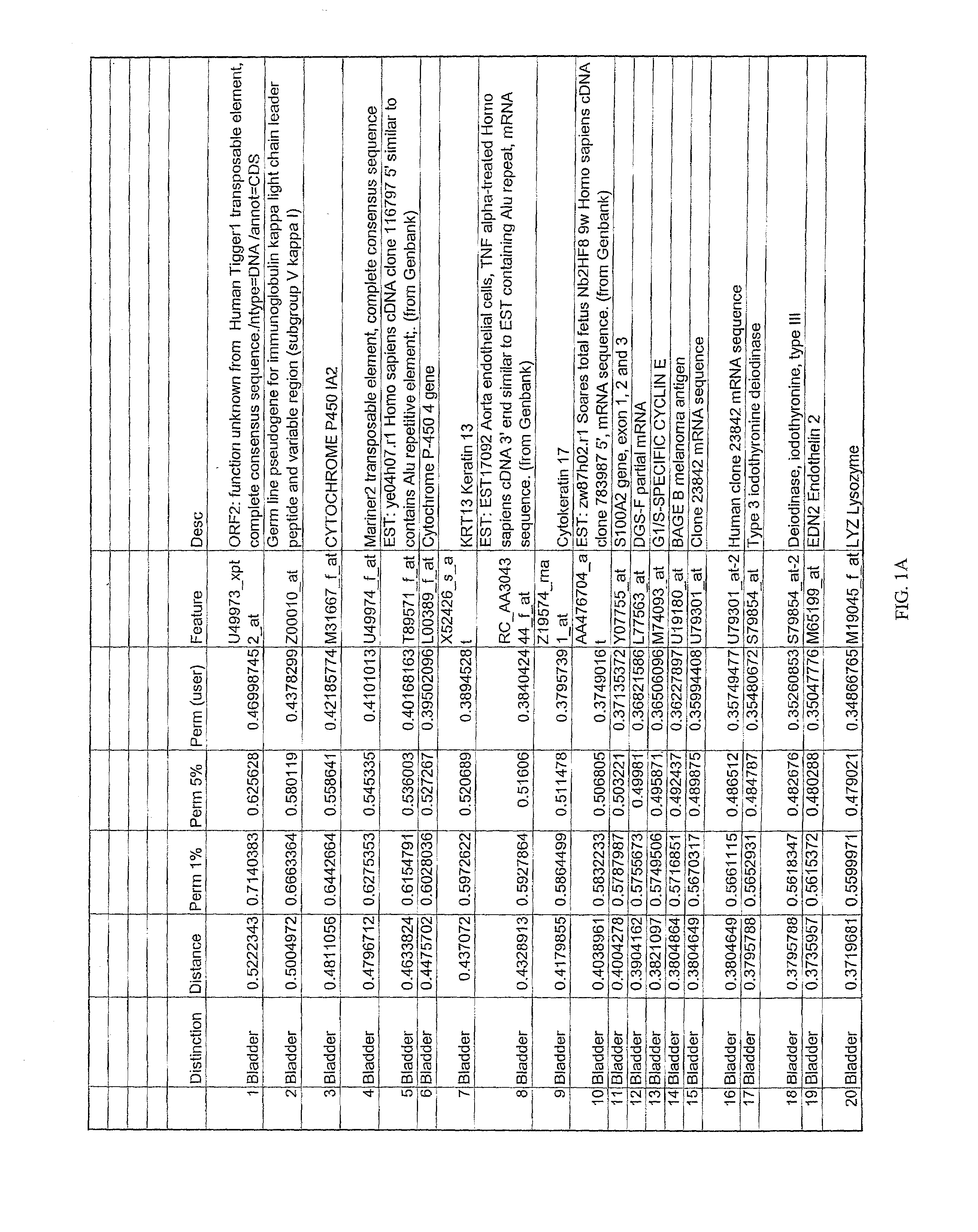 Genetic markers for tumors