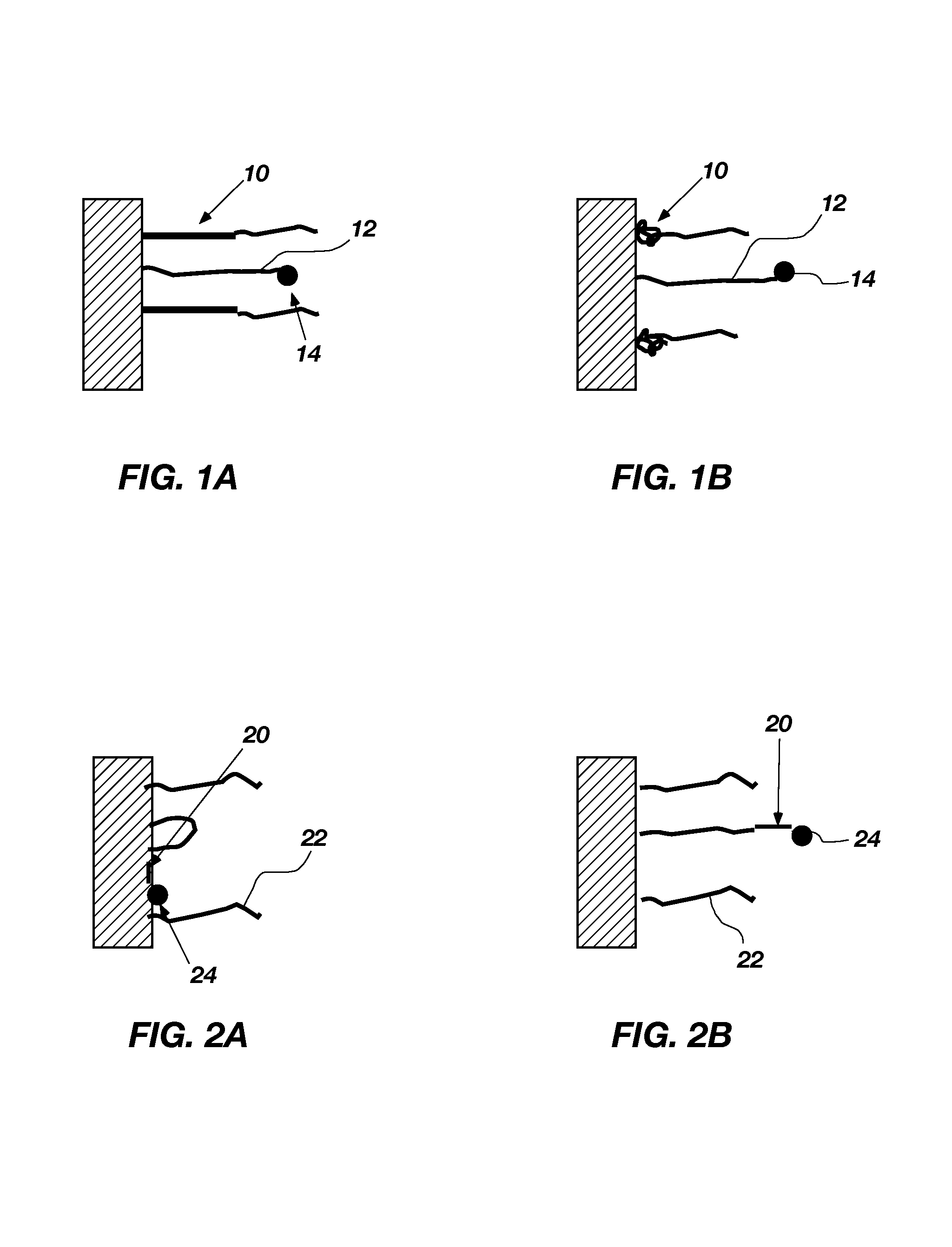 Tumor environment-induced ligand-expressing nanocarrier system