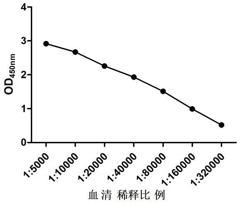 Canine distemper virus H protein nano antibody and preparation process thereof