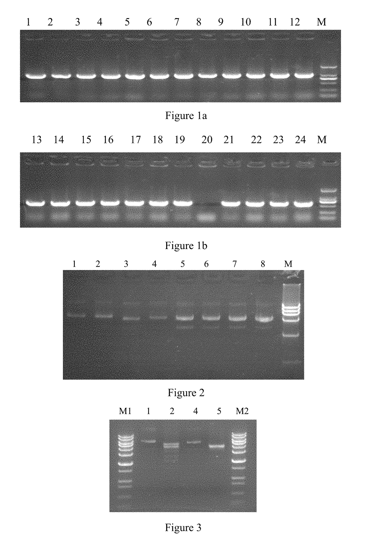 EV71 virus-like particles and preparation method and application thereof