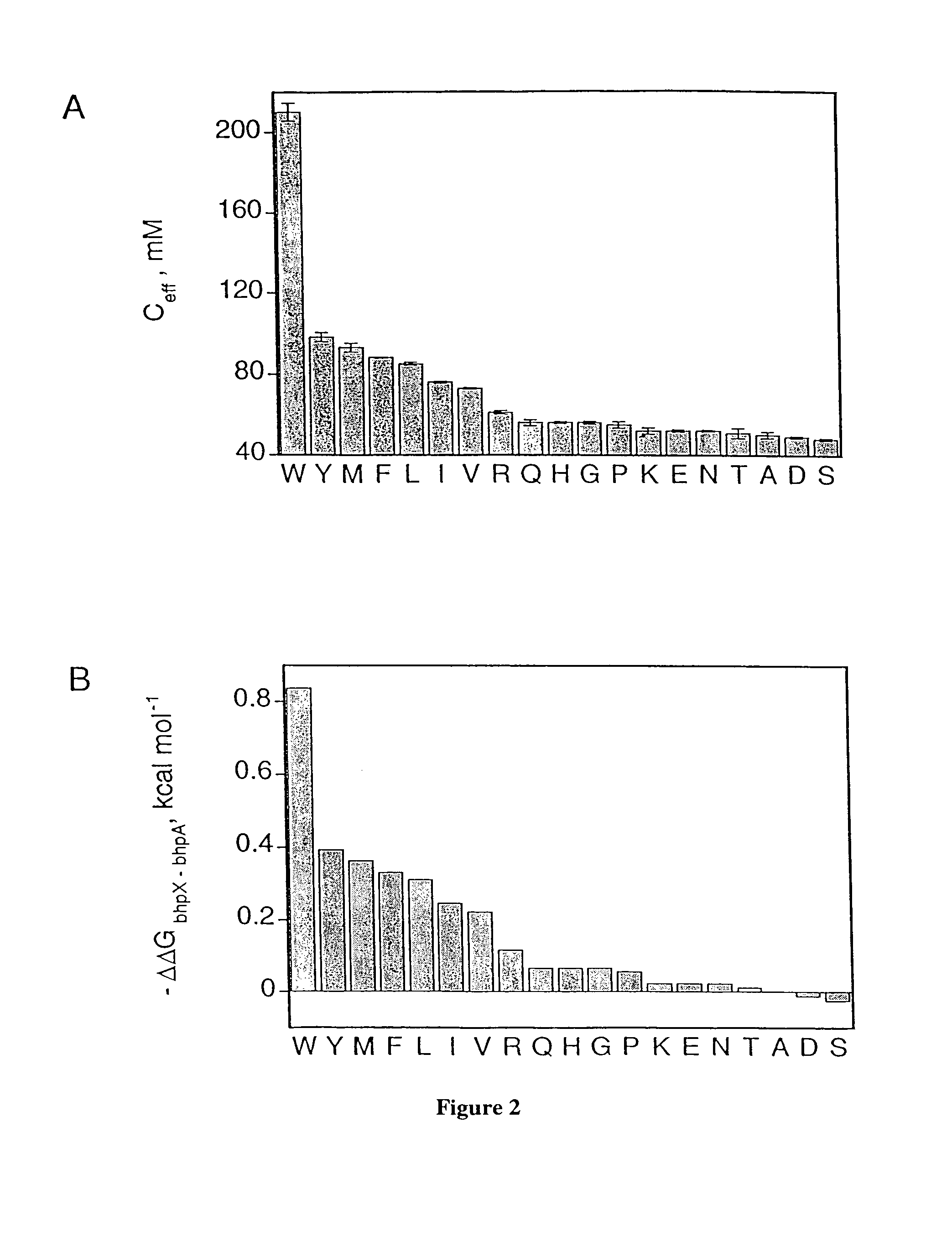 Structured peptide scaffold for displaying turn libraries on phage