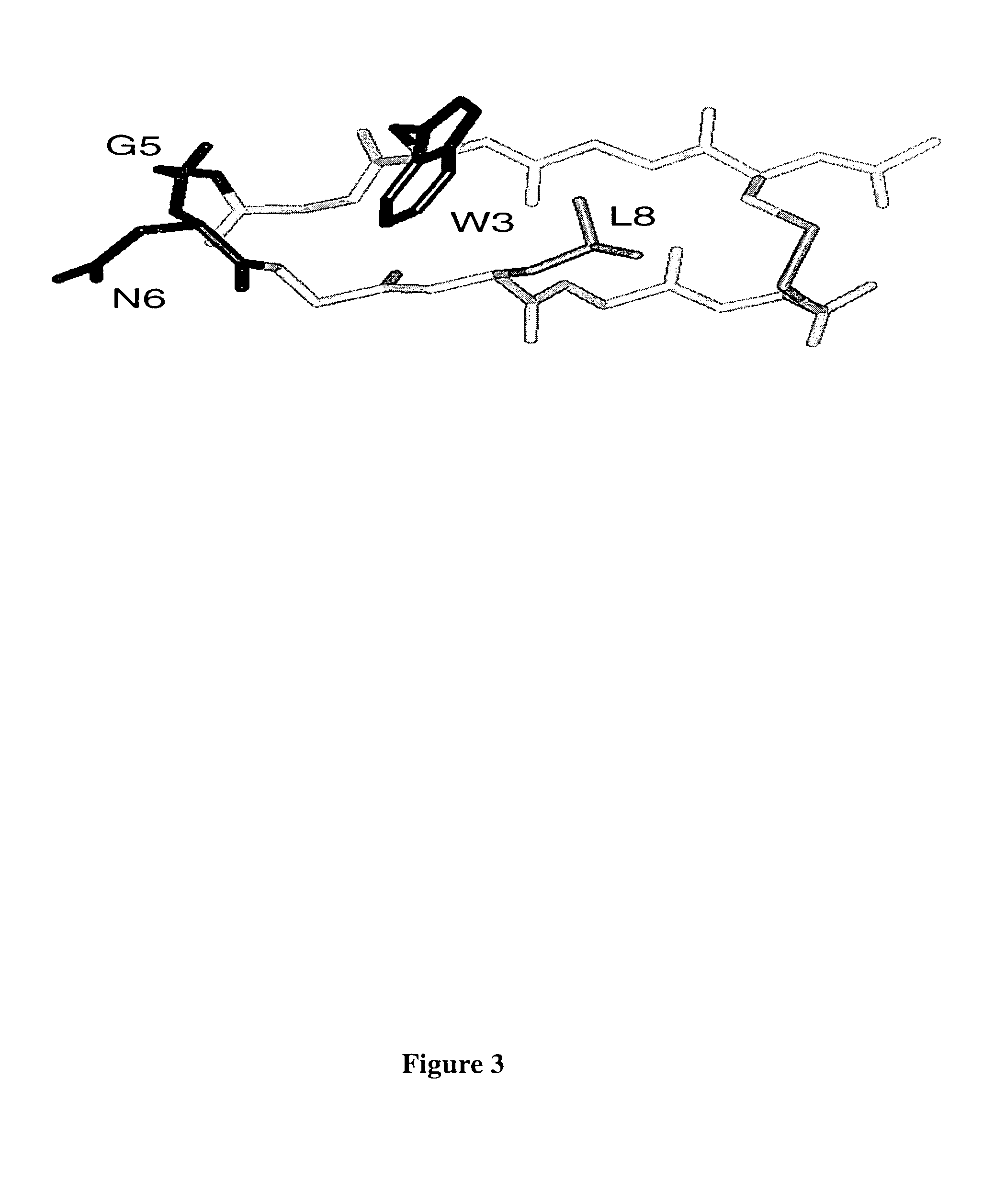 Structured peptide scaffold for displaying turn libraries on phage