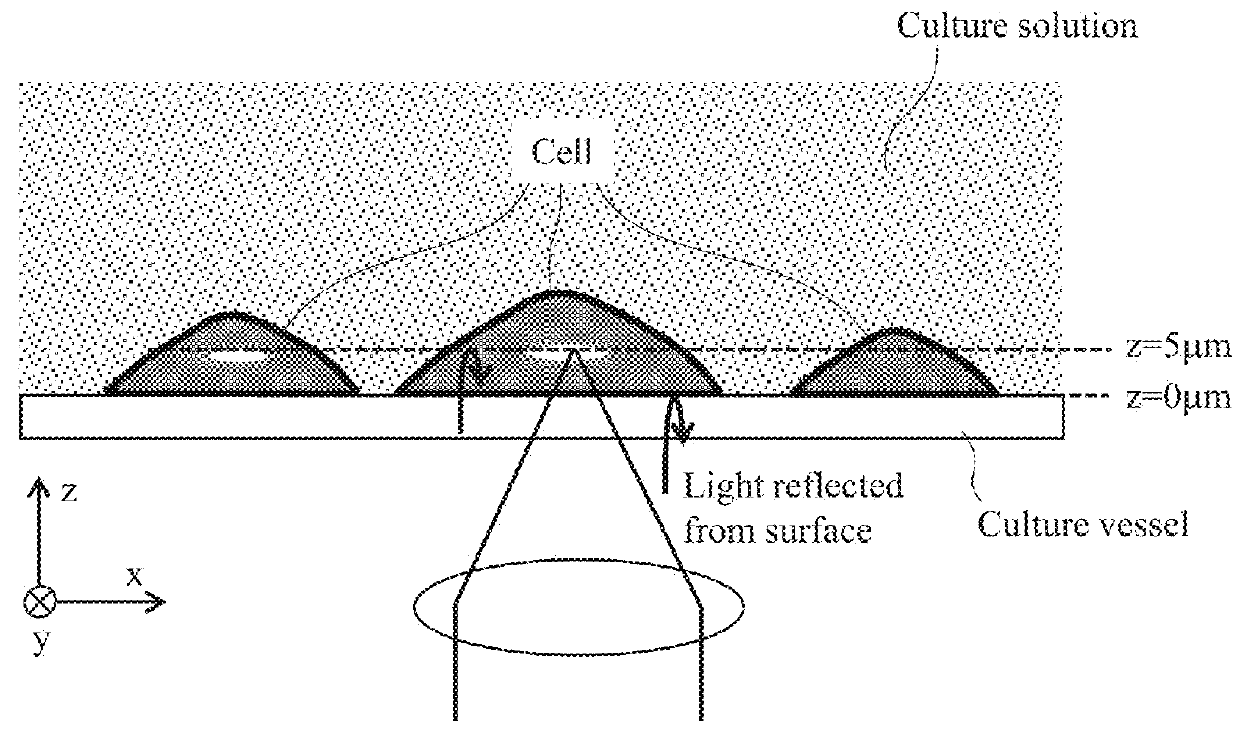 Optical image measuring apparatus