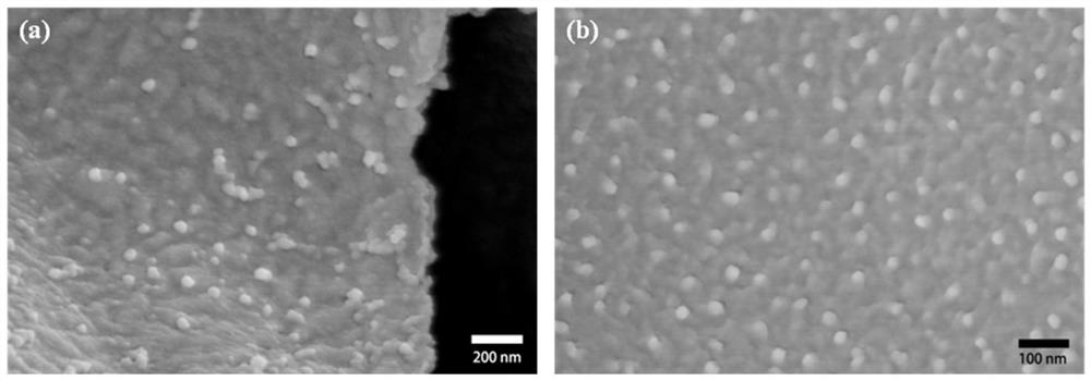 Carbon-based/PANI composite electrode material for supercapacitor and preparation method of carbon-based/PANI composite electrode material