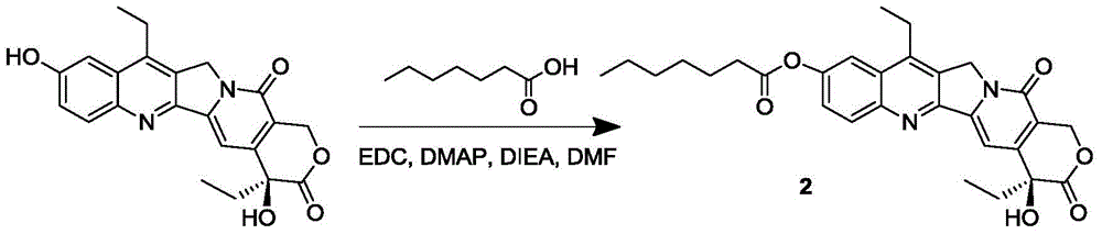 7-ethyl-10-hydroxycamptothecine drug precursor, preparation method and application thereof