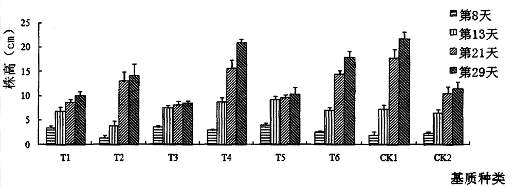 Lawn produced by using urban sludge composting mixed matrix and preparation method thereof