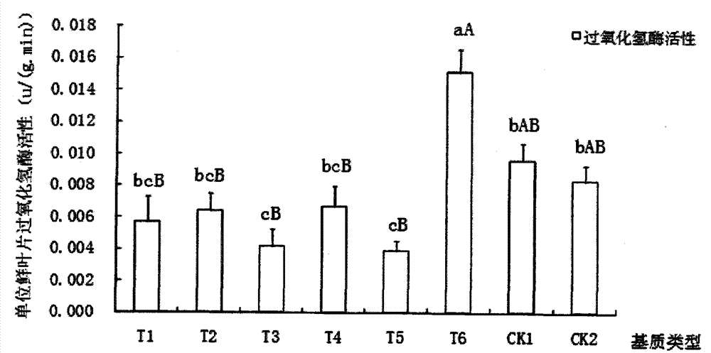 Lawn produced by using urban sludge composting mixed matrix and preparation method thereof