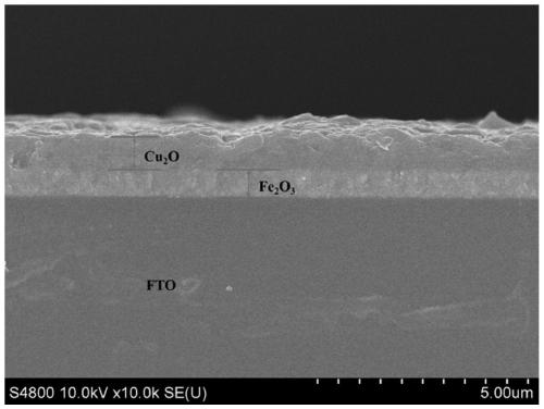 Visible-light-responsive iron oxide/cuprous oxide photocatalytic film and preparation method thereof