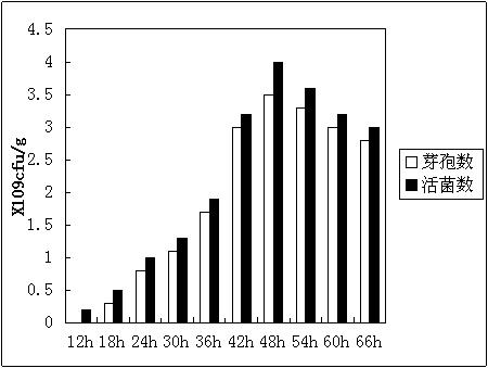 Clostridium butyricum as well as colstridium butyricum feed additive and preparation method thereof