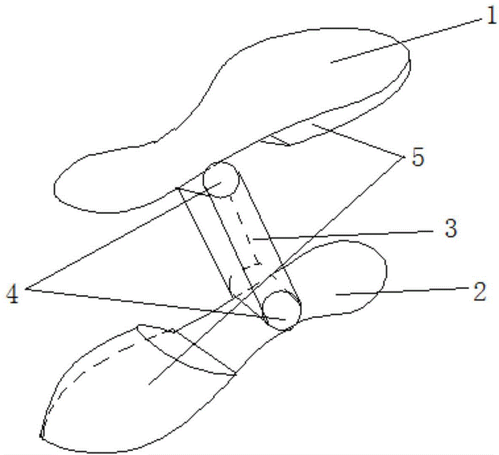 Shoe press preventing support