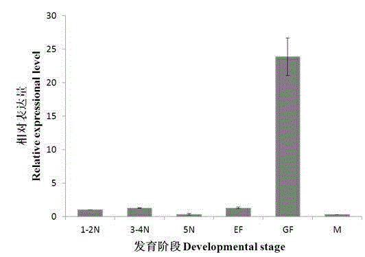 Brown planthopper survival and growth development-associated NlPIK3R1 gene, and coded protein and application thereof