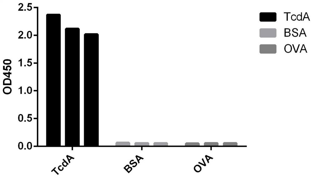 Nano antibody for resisting glycosyl transferase A subunit and application of nano antibody